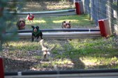 Enlarge photo 296
