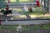 Enlarge photo 297