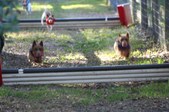 Enlarge photo 298