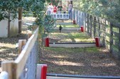 Enlarge photo 306