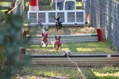 Enlarge photo 308