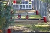 Enlarge photo 310