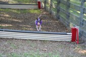 Enlarge photo 318