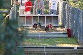 Enlarge photo 324