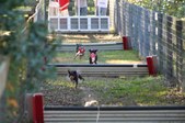 Enlarge photo 326
