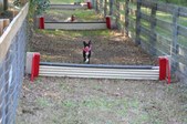 Enlarge photo 329