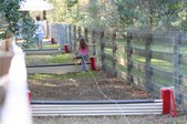 Enlarge photo 335