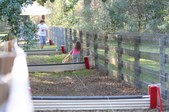 Enlarge photo 336
