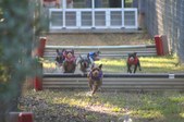 Enlarge photo 356