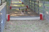 Enlarge photo 359