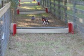 Enlarge photo 360