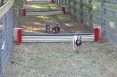 Enlarge photo 358