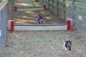 Enlarge photo 361