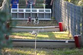 Enlarge photo 363