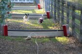Enlarge photo 366