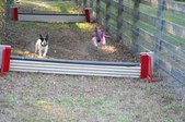Enlarge photo 372