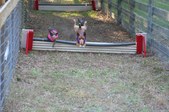 Enlarge photo 374