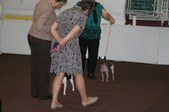 Enlarge photo 23