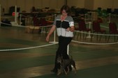 Enlarge photo 34