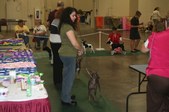 Enlarge photo 44