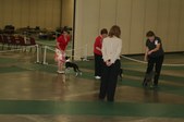 Enlarge photo 49