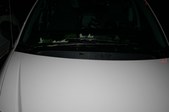 Enlarge photo 130