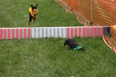 Enlarge photo 29