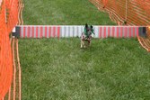 Enlarge photo 44