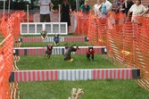 Enlarge photo 48