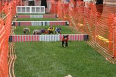 Enlarge photo 50