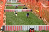 Enlarge photo 51