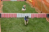 Enlarge photo 55