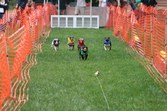 Enlarge photo 64