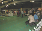 Enlarge photo 18