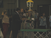 Enlarge photo 30