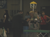 Enlarge photo 31