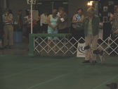 Enlarge photo 34