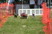 Enlarge photo 29