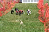 Enlarge photo 31