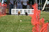 Enlarge photo 40
