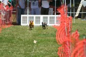 Enlarge photo 41