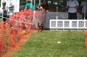 Enlarge photo 50