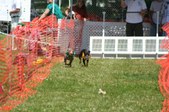 Enlarge photo 51