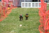 Enlarge photo 53