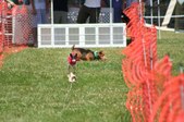 Enlarge photo 58