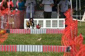 Enlarge photo 60