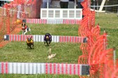 Enlarge photo 62