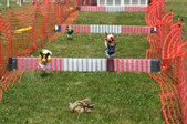 Enlarge photo 68