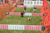 Enlarge photo 71