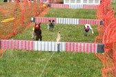 Enlarge photo 72